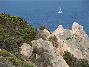 Natural coast with large rocks and bushes and a sailing boat in the sea, Corsica, Ajaccio, France,