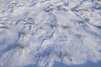 Landscape of wind drifts in the snow in a sunny day in winter, Bavaria, Germany, Europe