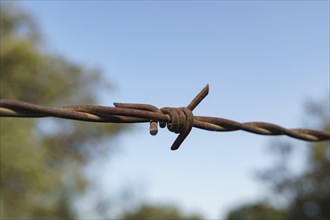 Closeup of a rusty barbed wire with blue sky background and copy space