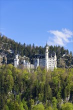 Neuschwanstein Castle in spring, Schwangau, Ostallgaeu, Allgaeu, Swabia, Upper Bavaria, Bavaria,