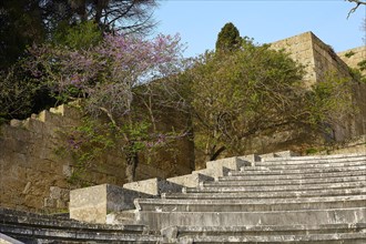 Ancient amphitheatre with stone seating steps surrounded by flowering trees, Archaeological Site,