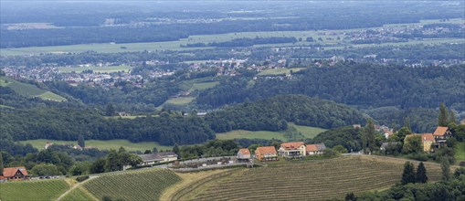 Hilly landscape, vineyards, panoramic view, view from the Demmerkogel lookout point, St.