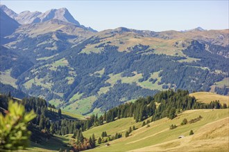 Green forests and meadows under a clear blue sky, surrounded by high mountains, mountain panorama