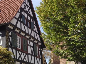 Half-timbered house with green shutters and a green tree in summer, historic half-timbered houses