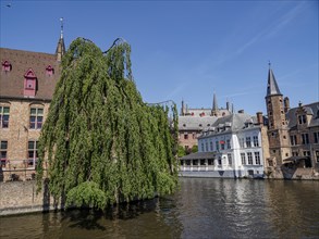 Historic buildings on a water canal with large trees and bright weather, historic house facades in