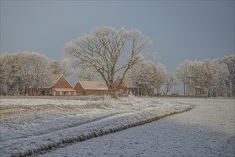 A farm with frozen trees and a frozen field in a quiet winter landscape, Frosty winter time in the