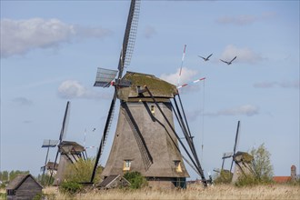 Several windmills on a windy spring day under a cloudy sky, windmills of Kinderdijk on a river,