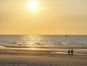 A family walks on the beach during a warm sunset, the sea is calm, sunset on the beach of de haan