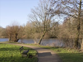 A footpath and a wooden bench on the shore of a lake, surrounded by trees and green meadows, autumn