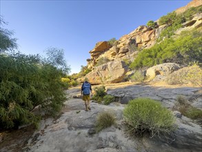 Hikers on the Seville Art Rock Trail, dry landscape with yellow rocks, Cederberg Mountains, near