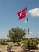 The Tunisian flag flies high on a sunny day, accompanied by a tree and bushes under a bright blue