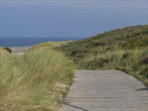 Path through grassy dunes down to the sea on a clear day, sand dunes with grasses on the beach of