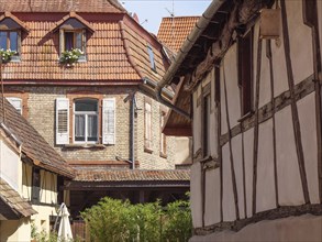 Historic half-timbered houses with floral decorations in Alsace, Wissembourg, France, Europe