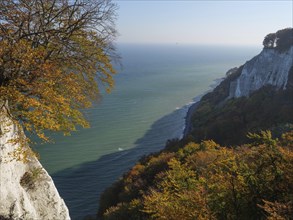 View of the cliffs with blue sea and autumnal trees creating an idyllic coastal landscape, chalk