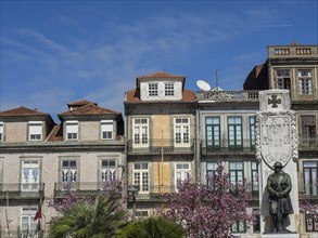 Historic townhouses and a monument surrounded by blossoming trees under a clear sky, historic