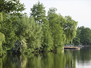 A quiet lake with a jetty, surrounded by lush vegetation, small lake with trees and green plants on
