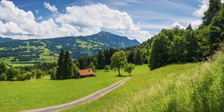 Alpine pasture landscape, behind it the Gruenten, 1783m, Oberallgaeu, Bavaria, Germany, Europe