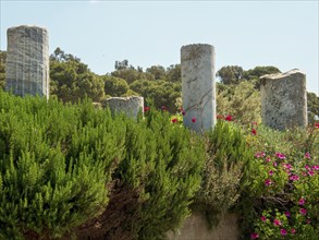 Ancient columns in a natural setting with green bushes and flowering plants, historical and