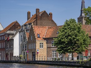 Brick buildings and green trees along a canal in sunny weather, historic house facades in a