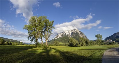 Trees in a meadow, Grimming mountain range in the morning light, panoramic shot, near Irdning,
