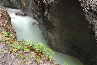 Landscape Partnach Gorge in autumn, Bavaria, Germany, Europe