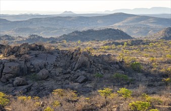 Barren landscape with rocky hills and acacias, African savannah in the evening light, Hobatere
