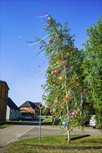 Maypole in petrol, Kritzow, Mecklenburg-Vorpommern, Germany, Europe