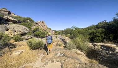 Hikers on the Sevilla Art Rock Trail, dry landscape with yellow rocks, Cederberg Mountains, near
