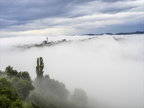 Church rises out of the morning mist, Frauenberg pilgrimage church, near Leibnitz, Styria, Austria,