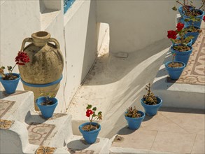 Mediterranean style staircase with blue flower pots, a large clay pot and white walls, Tunis in