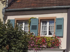 Historic half-timbered houses with floral decorations in Alsace, Wissembourg, France, Europe