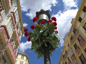 Lantern with red flowers between historic buildings under a blue sky, Malaga on the Mediterranean