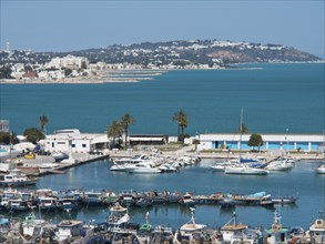 View of a harbour with numerous boats and yachts, calm water and a backdrop of hills, Tunis in