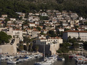 Harbour with boats and houses on a sunny hillside, the old town of Dubrovnik with historic houses,