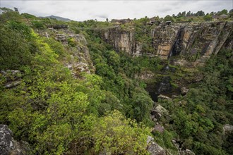 Suspension bridge and Motitsi Falls in the Graskop Gorge or Graskopkloof, view from the plateau to