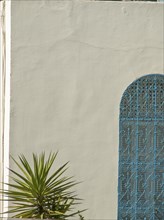 Minimalist facade with an ornate iron window and a small palm tree, Tunis in Africa with ruins from