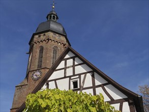 Traditional tower and half-timbered house surrounded by trees under a blue sky, historic