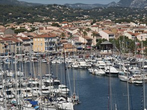 Lively marina with numerous boats and colourful houses along the coast, la seyne sur mer, france