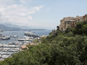 Coast with green hills, a town and many yachts in the water, Monte Carlo, Monaco, Europe