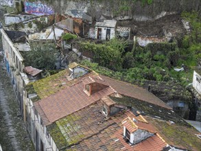 Abandoned buildings with mossy roofs and graffiti, surrounded by vegetation and ruins in an urban