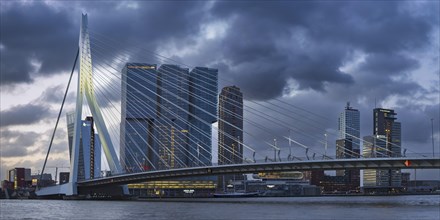 Nieuwe Maas with Erasmus Bridge and skyscrapers, Rotterdam, South Holland, Netherlands