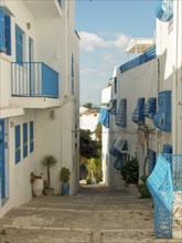 White buildings with blue windows and balconies in a narrow, picturesque alley, Tunis in Africa