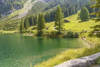 Green hill and lake, surrounded by coniferous forests and mountains, under sunny sky, turquoise