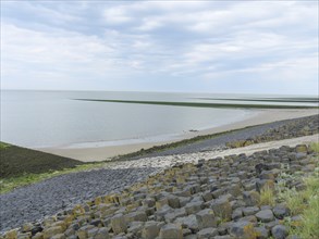 Stony coast with green seaweed and rocky beach in a relaxed atmosphere under a cloudy sky, Baltrum