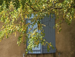 A window with blue shutters, surrounded by green and yellow leaves of a tree, Provence, le