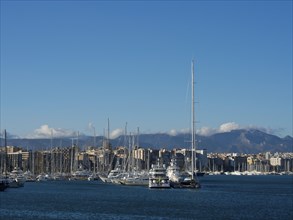 Marina with boats and city in the background under a blue sky, palma de mallorca on the