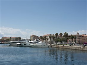 Harbour with several yachts, surrounded by houses and palm trees, on a clear sunny day, Corsica,