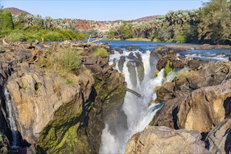 Epupa Falls waterfall on the Kunene River against the light, Kunene, Namibia, Africa