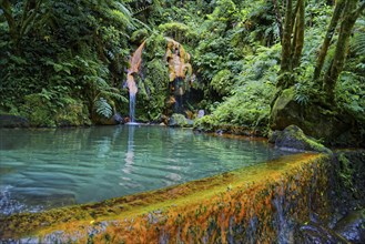 Turquoise-coloured thermal spring with waterfall, surrounded by lush vegetation and ferns, Caldeira