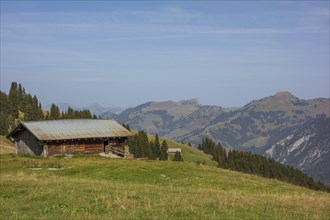 Rural wooden hut on green meadows in front of wooded hills and mountains under a clear sky,
